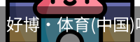 好博·体育(中国)唯一官方网站